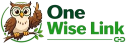 One Wise Link