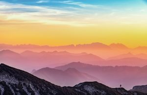 Building a Real Online Business with Onewiselink.com