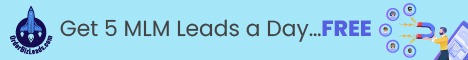 5 mlm leads a day